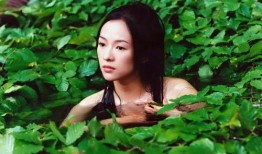 娱乐吃瓜君白莲花女星,娱乐吃瓜君揭秘其背后的真相