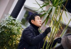 娱乐吃瓜酱张颂文,娱乐吃瓜酱的幕后故事