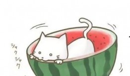 吃瓜群众的卡通图片,趣味解读社会热点现象