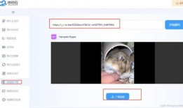 网站视频提取,[网站名称]热门视频内容概览