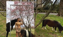 喂驴打一嘴巴子吃瓜娱乐,一场意外的网络狂欢