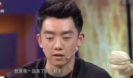 娱乐吃瓜郑恺小说,娱乐圈的甜蜜瓜田