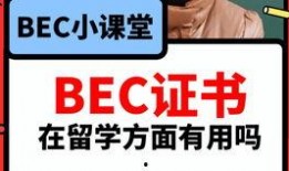 国外吃瓜爆料视频下载,下载背后的真相与争议