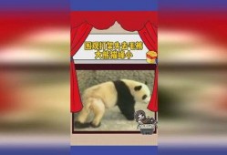 缘分娱乐吃瓜,吃瓜群众揭秘娱乐圈幕后真相