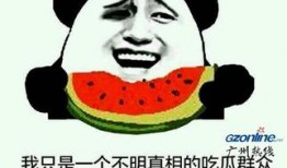 娱乐吃瓜名字怎么取的呀