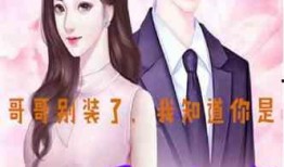 娱乐爆笑吃瓜小说推荐完结,娱乐爆笑吃瓜小说完结篇