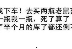 娱乐吃瓜经典语录搞笑,笑料百出！娱乐吃瓜界的经典语录大盘点