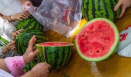 北美爆料吃瓜视频