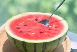 免费吃瓜官网免费,畅享美食盛宴，尽享免费福利！