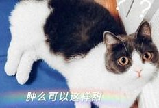 娱乐圈吃瓜磕cp,CP甜蜜互动大盘点