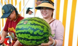 每天看娱乐吃瓜,笑谈娱乐圈风云