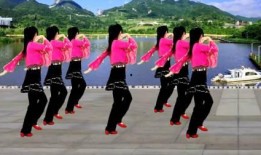 广场舞大全视频播放,热门视频精选，舞动健康生活